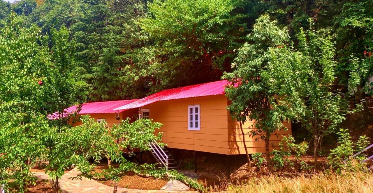 Aamod At Shoghi Luxury Cottage Resort Shimla Exterior photo